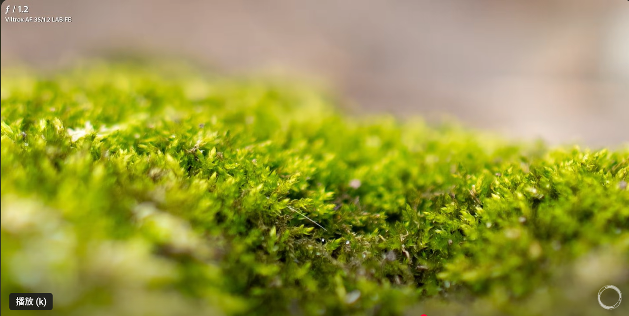 best budget 35mm lens