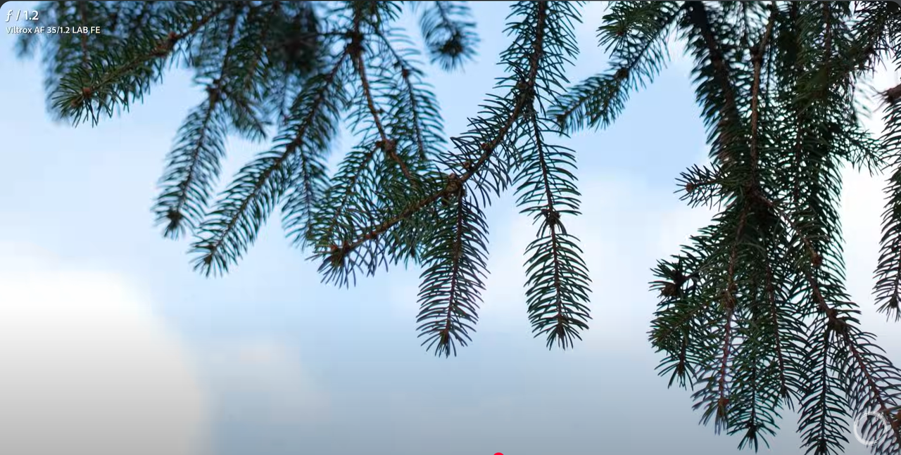 Viltrox AF 35mm F1.2 FE price